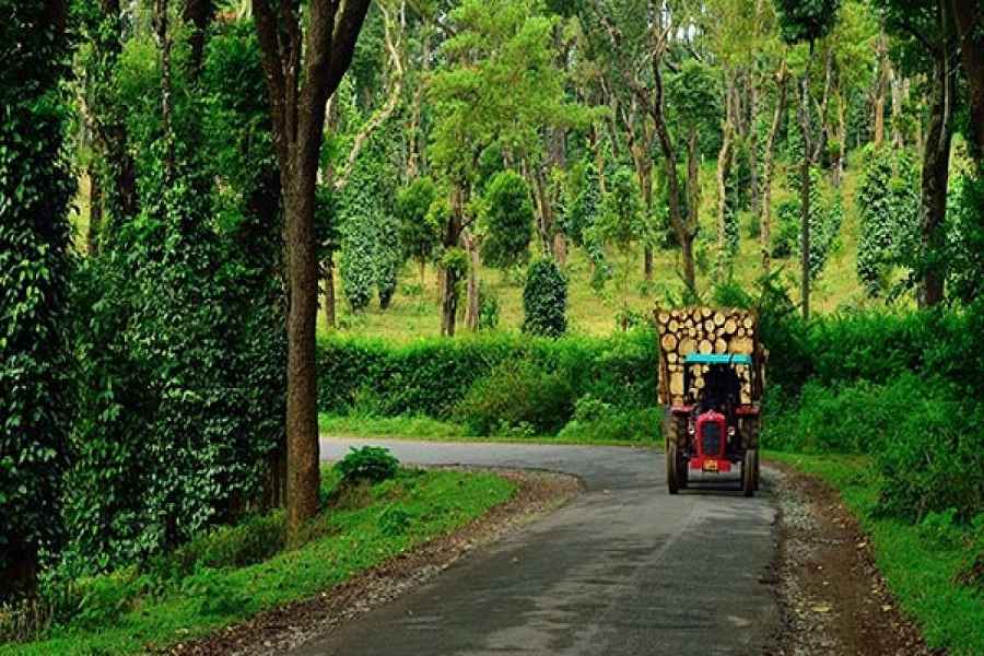 Coorg