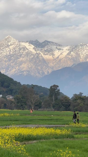 Kangra Valley