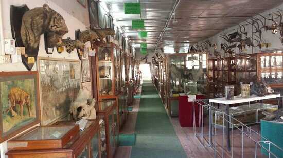 Public Museum Of Nepal